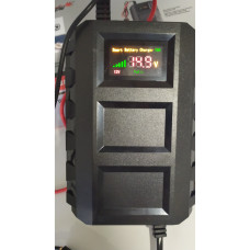 Імпульсний зарядний-пристрій ЛУЧПрофі