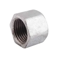 Заглушка чавунна внутрішня 2 1/2 ВР