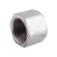 Заглушка чавунна внутрішня (50) 2" ВР