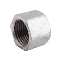 Заглушка чавунна внутрішня (40) 1 1/2" ВР