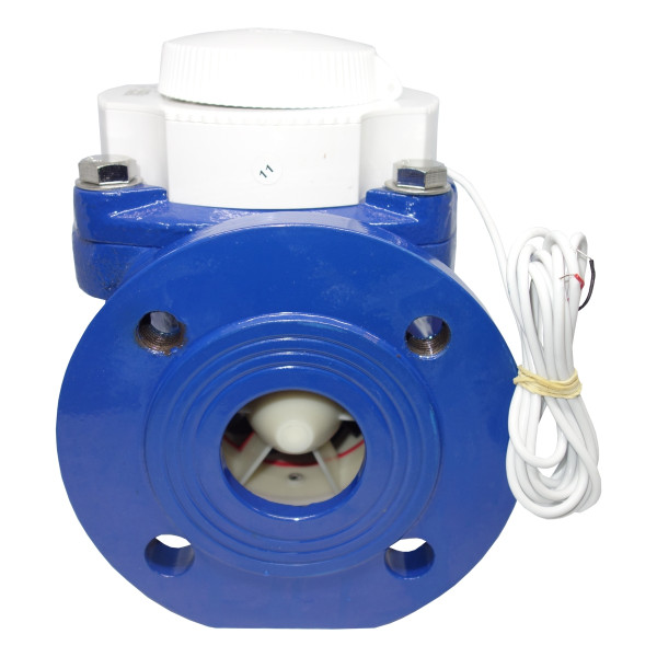 Лічильник Baylan W-0 Dn 65 R-160